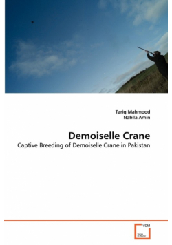 Demoiselle Crane