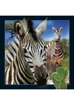 Magnes 3D Zebra