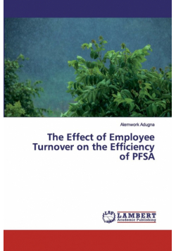 The Effect of Employee Turnover on the Efficiency of PFSA