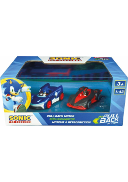 Team Sonic Racing - Sonic vs. Shadow Twinpack