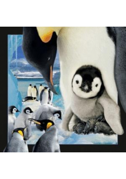 Magnes 3D Pingwin