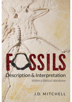 Fossils