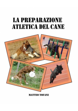 La preparazione atletica del cane
