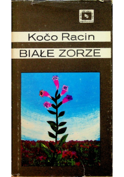 Białe zorze
