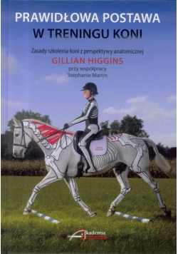 Prawidłowa postawa w treningu koni
