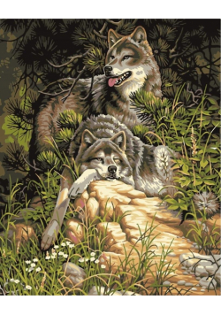 Malowanie po numerach - Wilki w lesie 40x50cm
