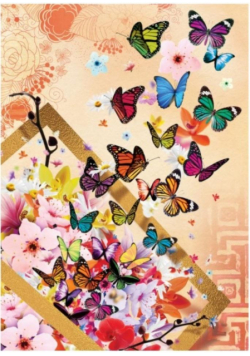 Puzzle 500 Kolorowe motyle