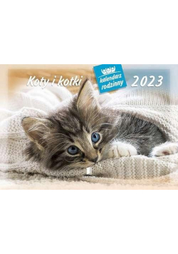 Kalendarz 2023 Rodzinny Koty i kotki