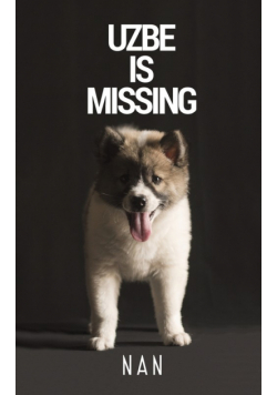 Uzbe Is Missing