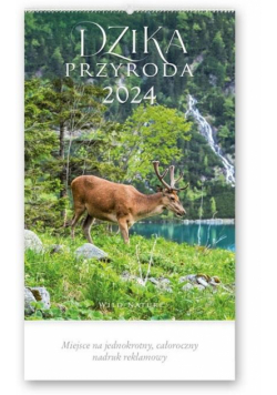 Kalendarz 2024 Reklamowy Dzika przyroda