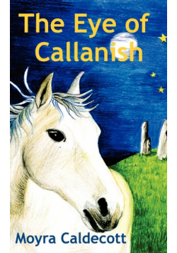 The Eye of Callanish