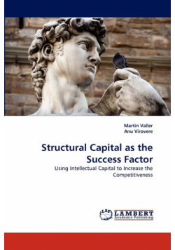 Structural Capital as the Success Factor