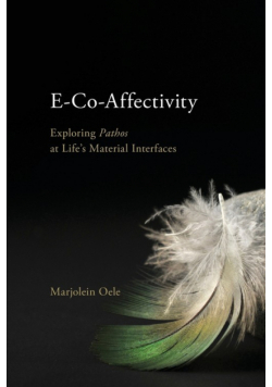 E-Co-Affectivity