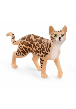 Kot bengalski