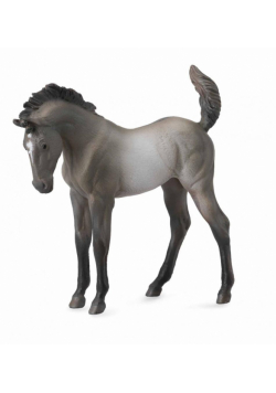 Źrebię Mustang maści Grulla