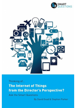 Thinking of... The Internet of Things from the Director's Perspective? Ask the Smart Questions