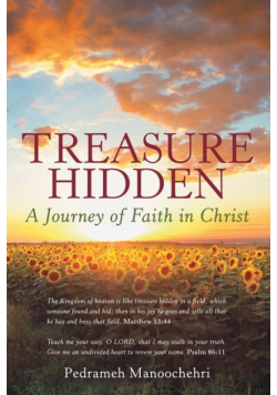 Treasure Hidden