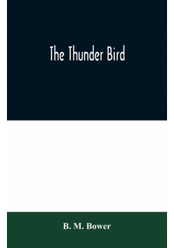 The Thunder Bird