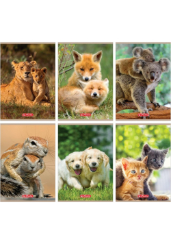Zeszyt A5/32K linia podwójna Animals (10szt)