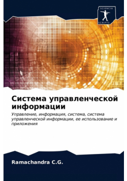 Система управленческой информации
