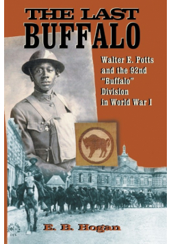 The Last Buffalo