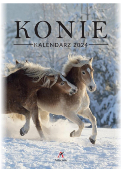 Kalendarz 2024 wieloplanszowy B4 Konie