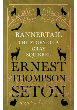 Bannertail - The Story of a Gray Squirrel