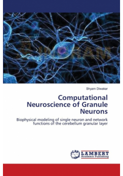 Computational Neuroscience of Granule Neurons