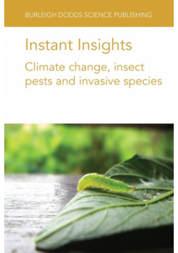 Instant Insights