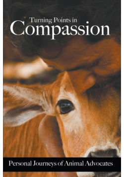 Turning Points in Compassion