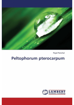 Peltophorum pterocarpum