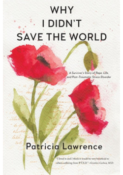 Why I Didn't Save the World