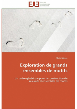 Exploration de grands ensembles de motifs