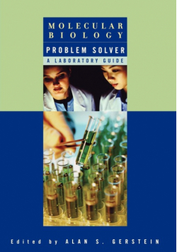 Problem Solver