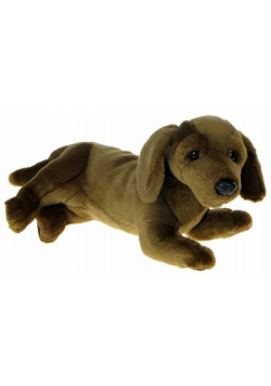 Jamnik 31cm