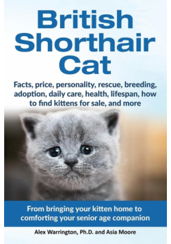 British Shorthair Cat