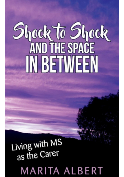 Shock to Shock and the Space in Between