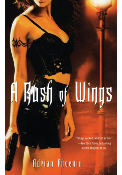 Rush of Wings