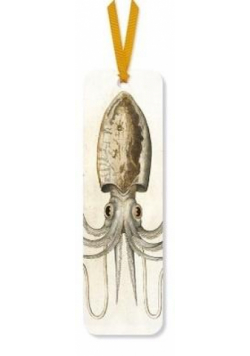 Zakładka do książki Squid