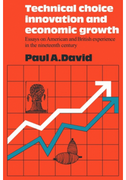 Technical Choice Innovation and Economic Growth