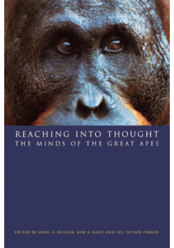 Reaching into Thought