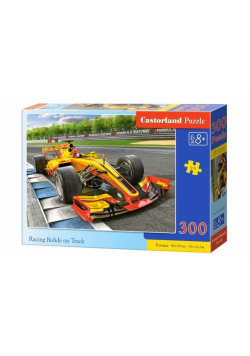 Puzzle 300 Racing Bolide on Track CASTOR