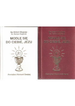 Modlę się do Ciebie, Jezu. Modlitewnik. I Komunia