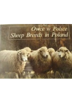 Owce w Polsce