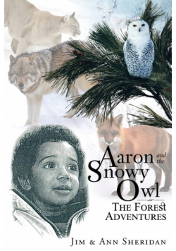 Aaron and the Snowy Owl