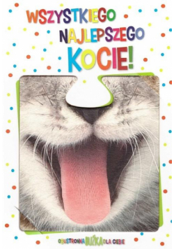 Karnet BOO-008 Urodziny