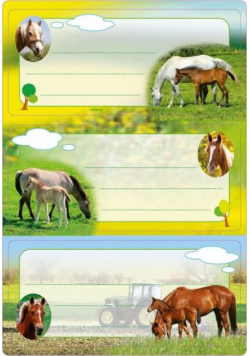 Naklejki szkolne - Konie 6szt