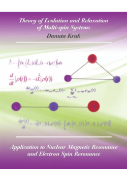Theory of Evolution and Relaxation in Multi-Spin Systems