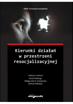 Kierunki działań w przestrzeni resocjalizacyjnej