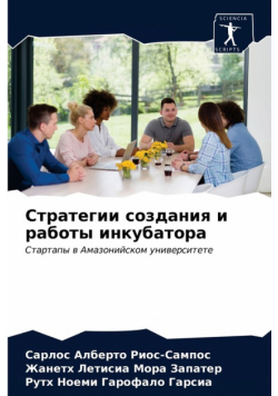 Стратегии создания и работы инкубатора